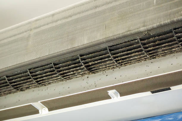 Best Home Air Vent Cleaning  in Belvidere, NJ