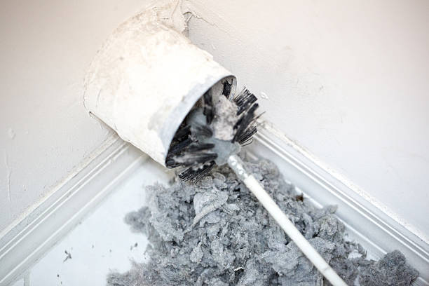 Best HVAC System Cleaning  in Belvidere, NJ