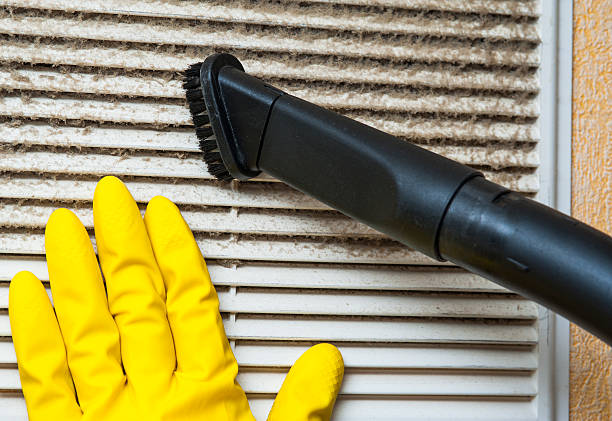 Best Air Duct Mold Removal  in Belvidere, NJ